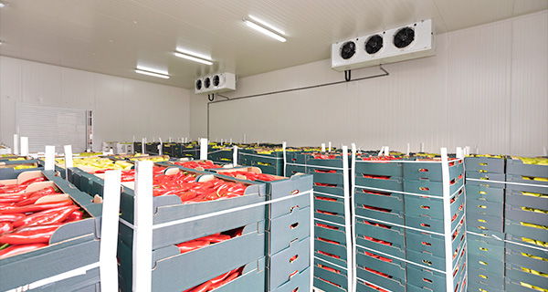Cold Room Maintenance Perth