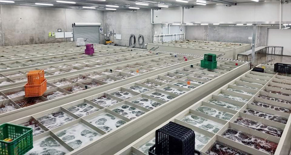 Cold Room Maintenance Perth